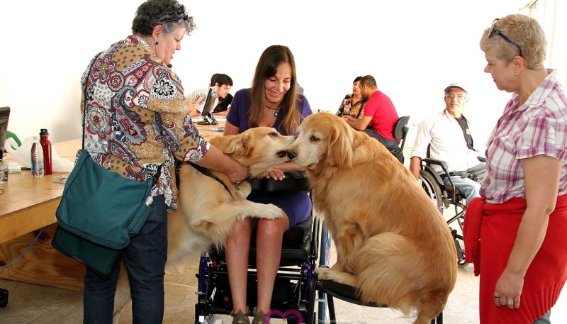 Projeto propõe utilização de animais em terapias, educação e assistência às pessoas com deficiência